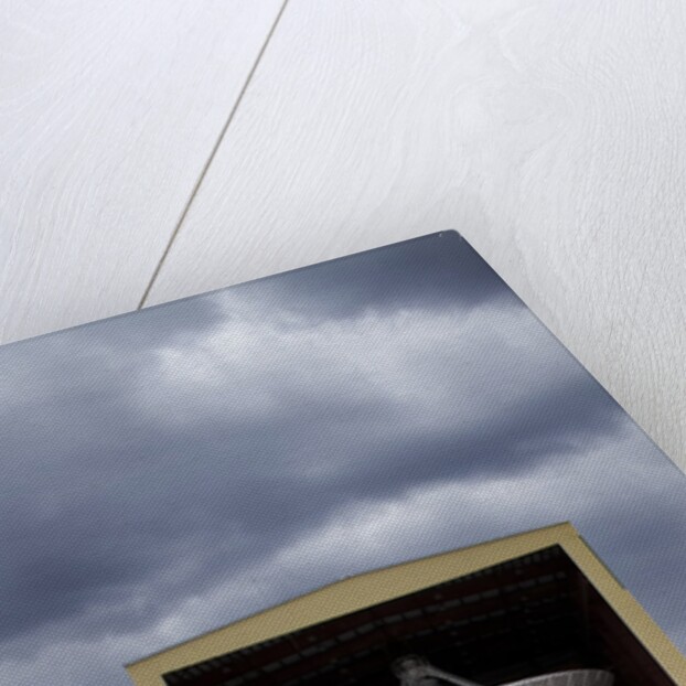 VLA Radio Observatory, Socorro, New Mexico by Anonymous