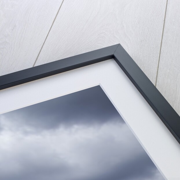 VLA Radio Observatory, Socorro, New Mexico by Anonymous