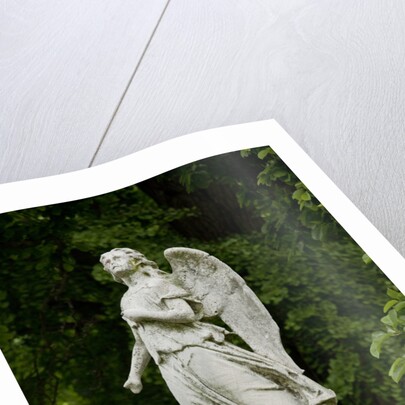 Greenwood Cemetery, New York by Anonymous