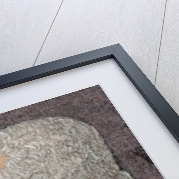 Marie-Joseph Paul Yves Roch Gilbert du Motier, Marquis de La Fayette (1757-1834) by Anonymous