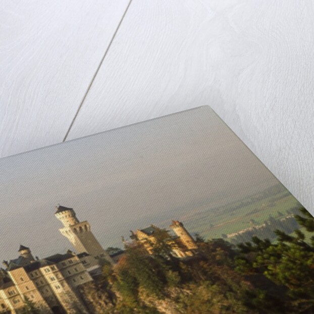 Neuschwanstein Castle by Anonymous
