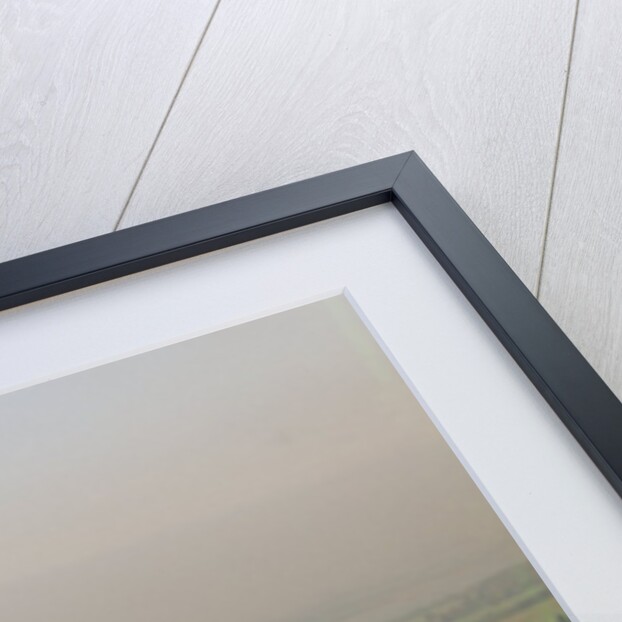 Neuschwanstein Castle by Anonymous