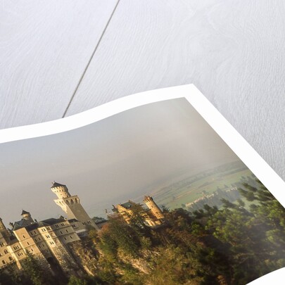 Neuschwanstein Castle by Anonymous