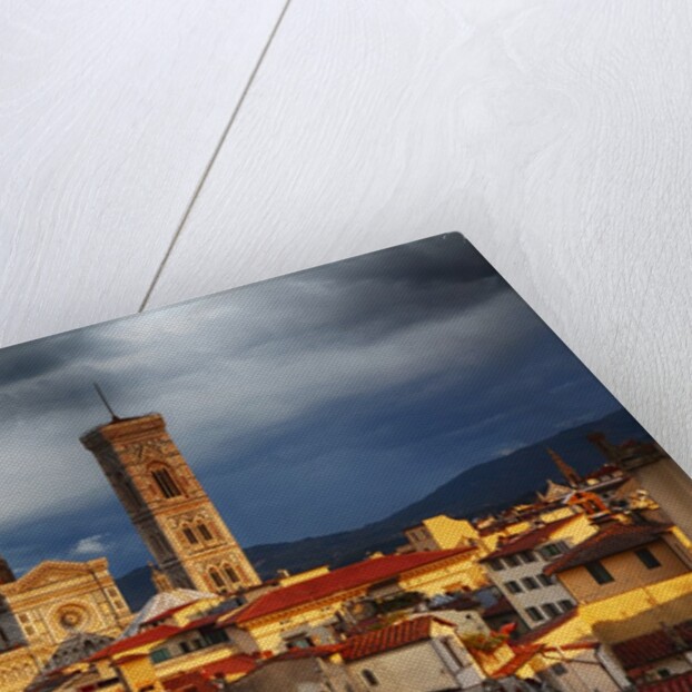 The Duomo of Florence with evening light by Anonymous