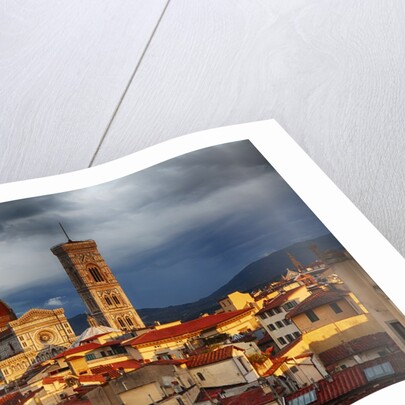The Duomo of Florence with evening light by Anonymous