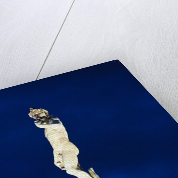 Statue of David overlooking Florence by Anonymous