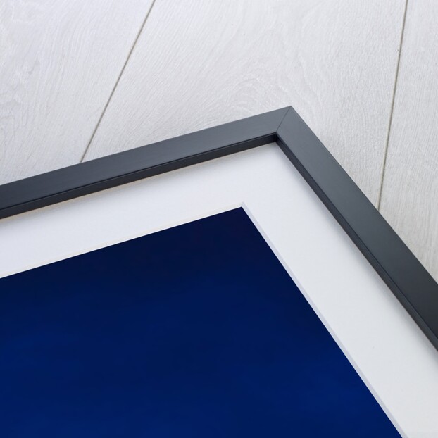 Statue of David overlooking Florence by Anonymous