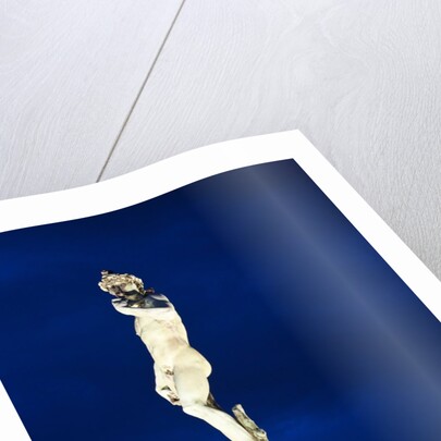 Statue of David overlooking Florence by Anonymous