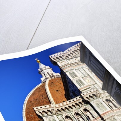 The Duomo of Florence with evening light by Anonymous