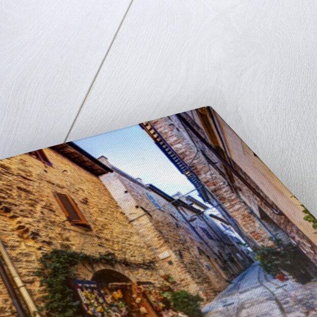 Street in Spello, Italy by Anonymous