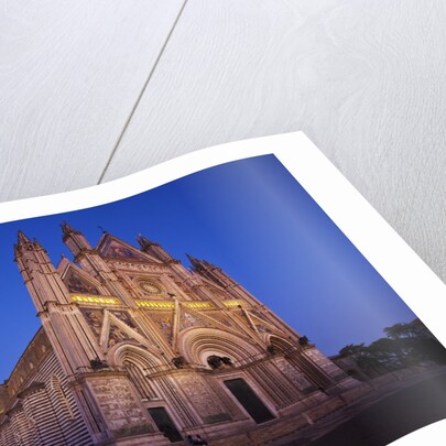 Cathedral of Orvieto by Anonymous