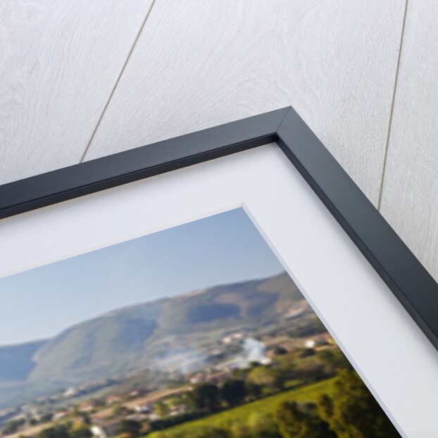 Vineyards draping hillsides by Anonymous