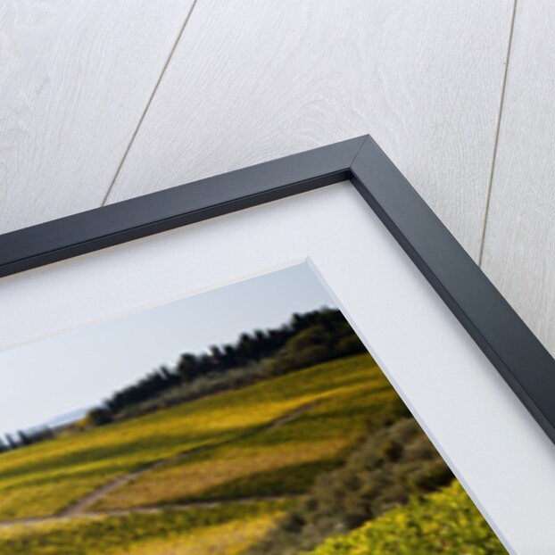 Villa and vineyards in the rolling hills of Tuscany by Anonymous