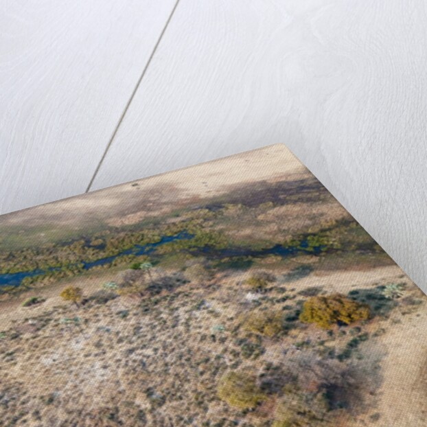 Okavango delta, Botswana by Anonymous