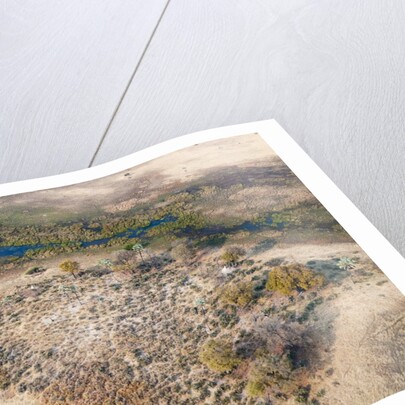 Okavango delta, Botswana by Anonymous
