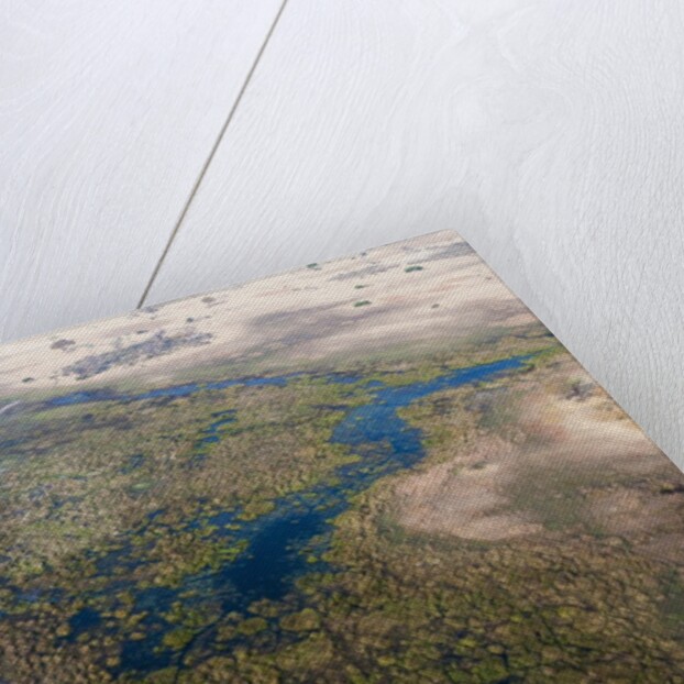 Okavango delta, Botswana by Anonymous