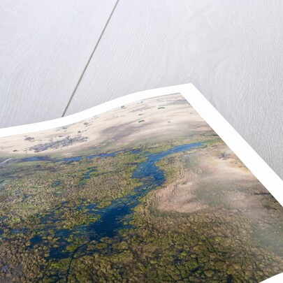 Okavango delta, Botswana by Anonymous