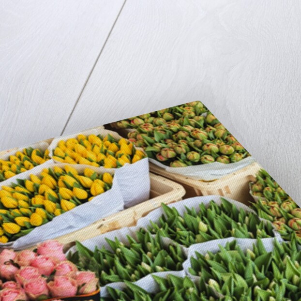 Flower market, Amsterdam by Anonymous