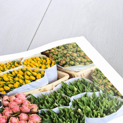 Flower market, Amsterdam by Anonymous