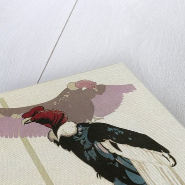 Buzzards, London Underground and Zoo by Anonymous