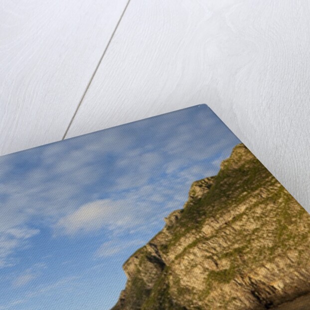 Wolf Island, Galapagos Islands by Anonymous