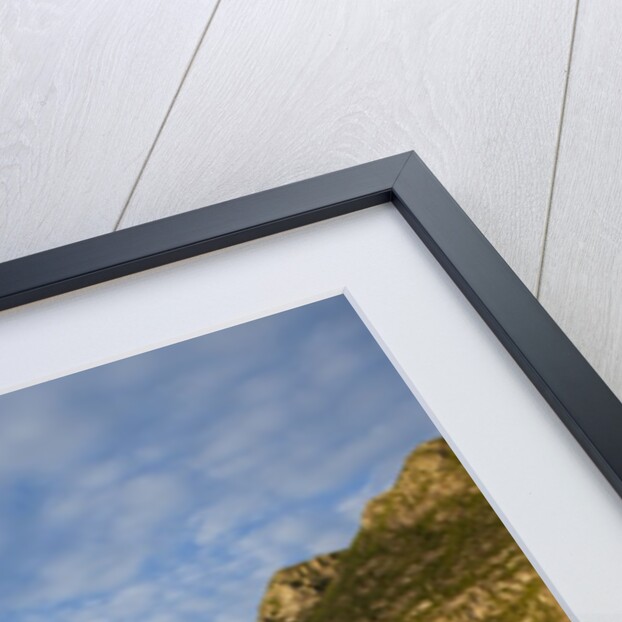 Wolf Island, Galapagos Islands by Anonymous