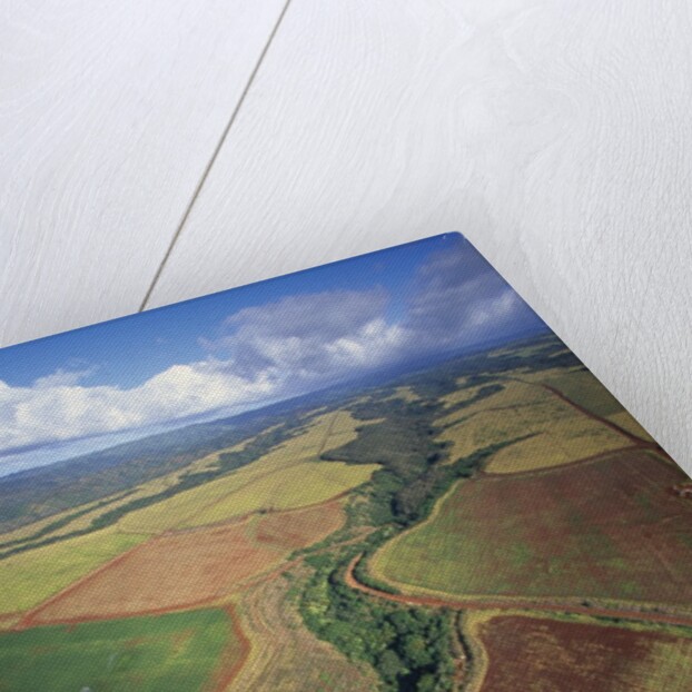 North Shore by Anonymous