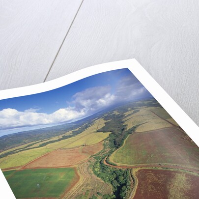 North Shore by Anonymous