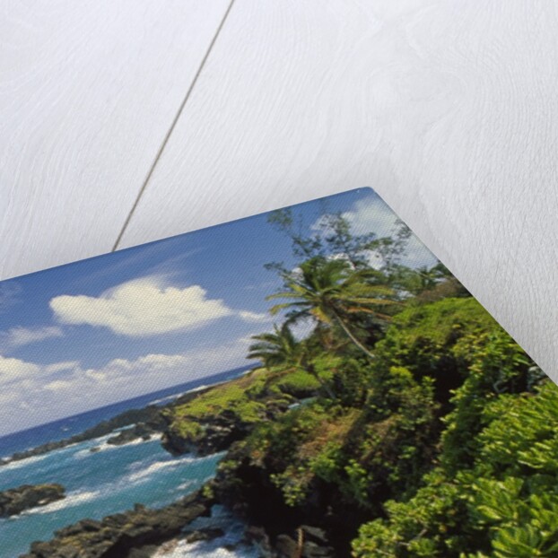 Wai'anapanapa park by Anonymous