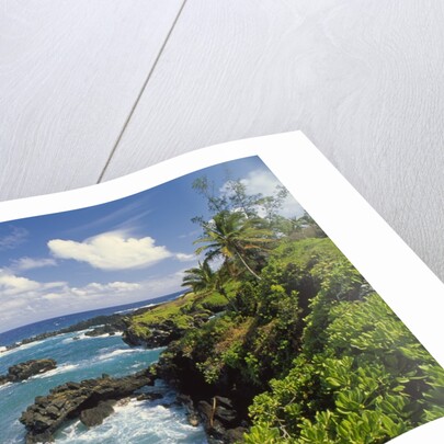Wai'anapanapa park by Anonymous