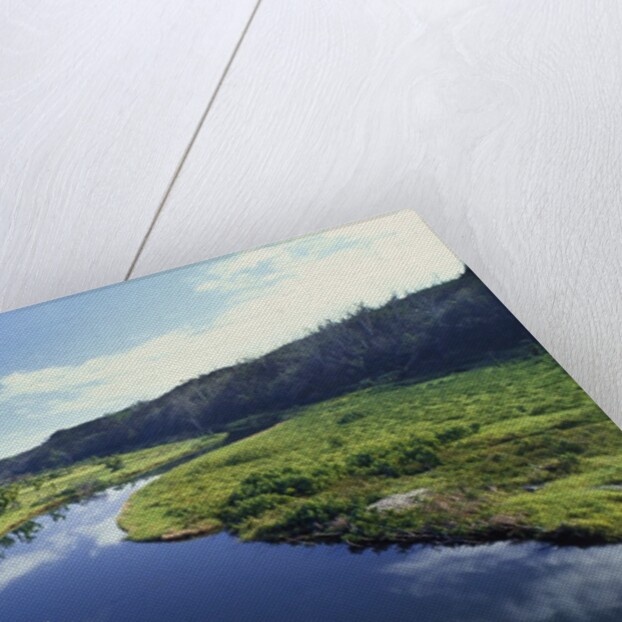 Wainiha Bay by Anonymous