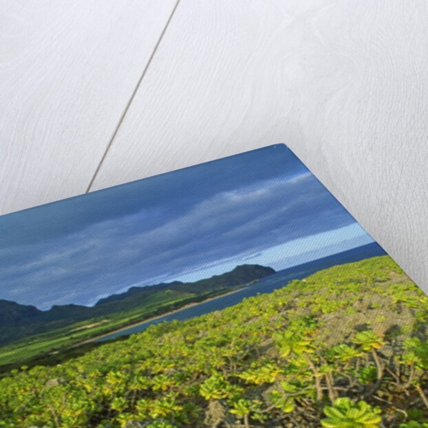 Kauai in Hawaii by Anonymous