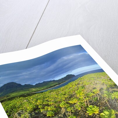 Kauai in Hawaii by Anonymous