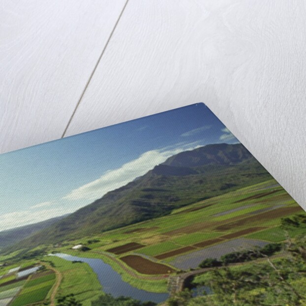 Hanaley Valley by Anonymous