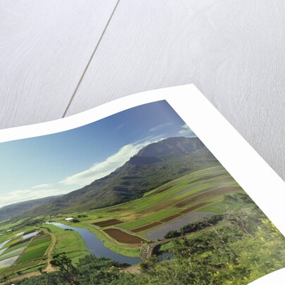 Hanaley Valley by Anonymous