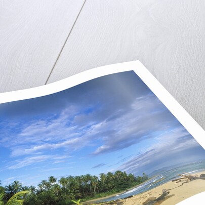 Beach in Limon, Costa Rica by Anonymous