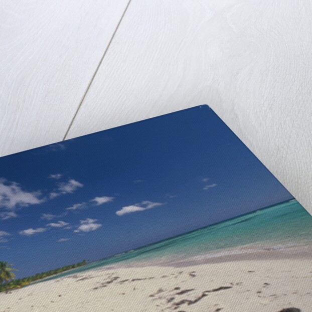 Beach in the West Indies by Anonymous