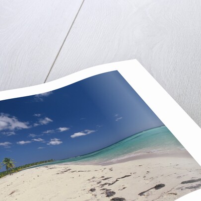 Beach in the West Indies by Anonymous