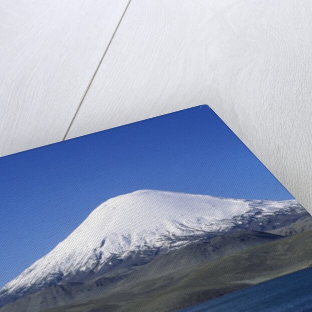Lauca National Park by Anonymous