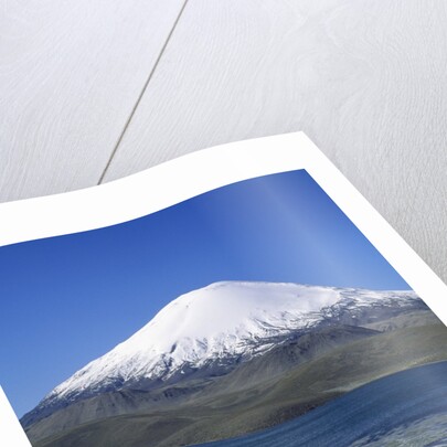 Lauca National Park by Anonymous