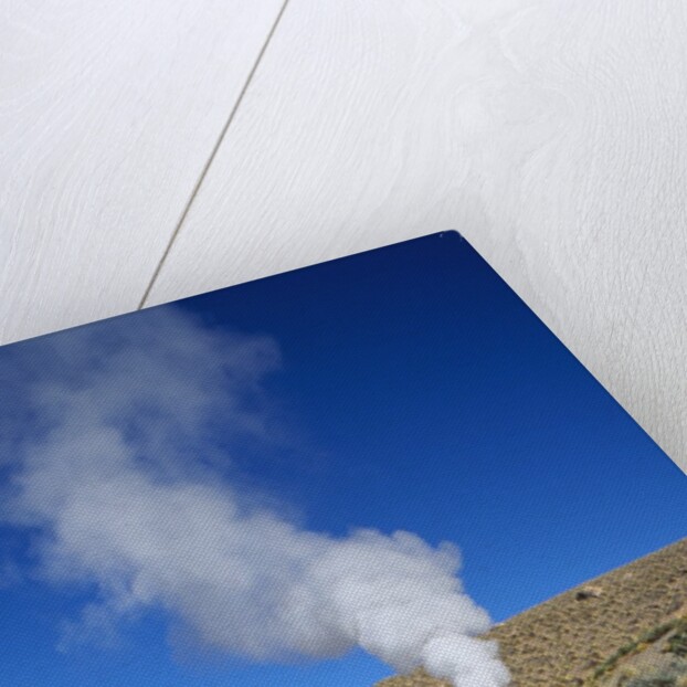 Atacama Desert by Anonymous