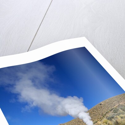 Atacama Desert by Anonymous