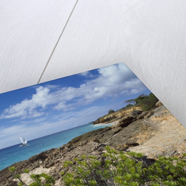 Coupecoy beach by Anonymous