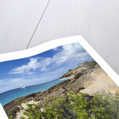 Coupecoy beach by Anonymous