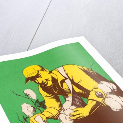 Poster for National Cotton Picking Contest by Anonymous
