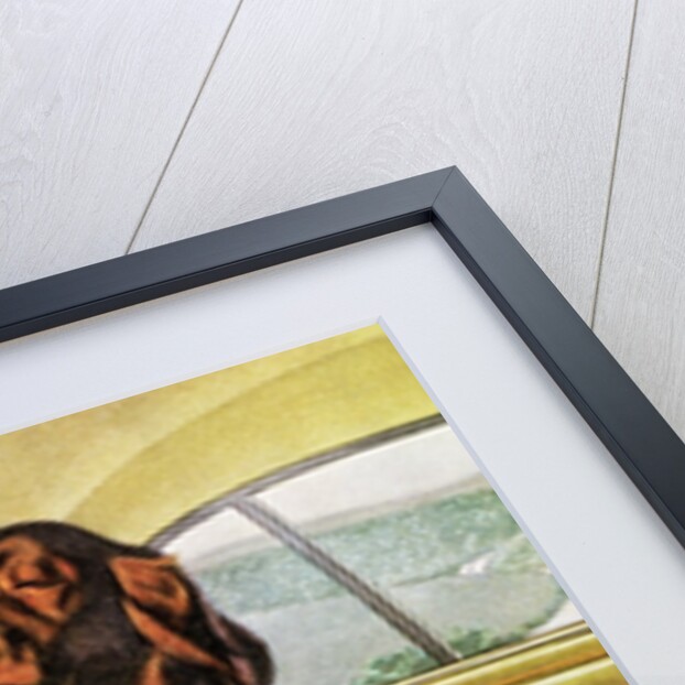 Pampered Irish Setter Sitting in a Car by Anonymous