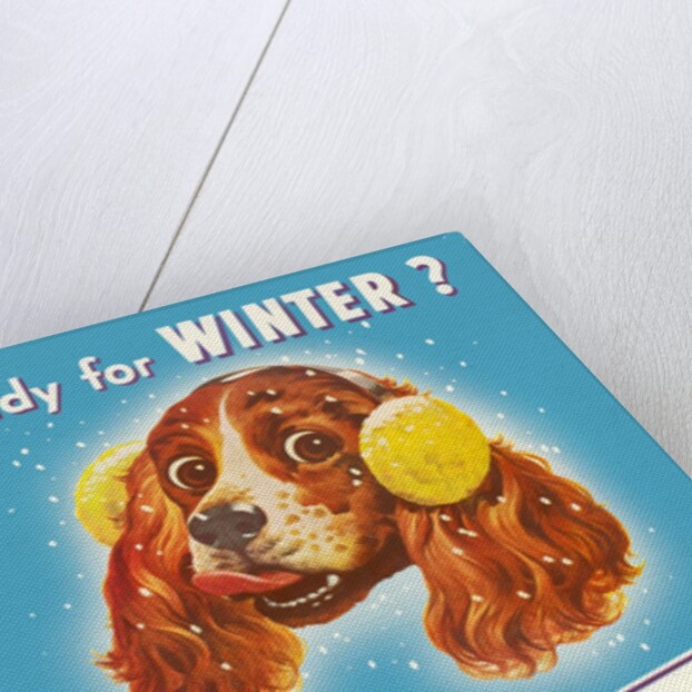 Ready for Winter? Stay Warm Dog with Earmuffs by Anonymous