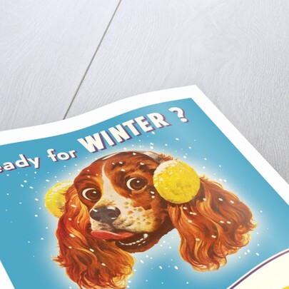 Ready for Winter? Stay Warm Dog with Earmuffs by Anonymous