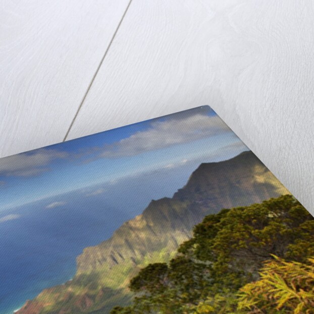 Canyon in Hawaii by Anonymous