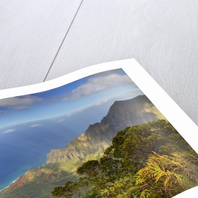 Canyon in Hawaii by Anonymous